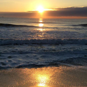 Meet your Posher, Stephen